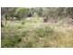 Federation Way, Manildra NSW 2865
