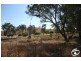 6031 Burrendong Way, Stuart Town NSW 2820