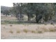 Mullion Creek NSW 2800