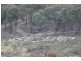Mullion Creek NSW 2800