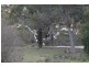 Mullion Creek NSW 2800