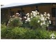 Mullion Creek NSW 2800