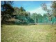 940 Packham Drive, Molong NSW 2866