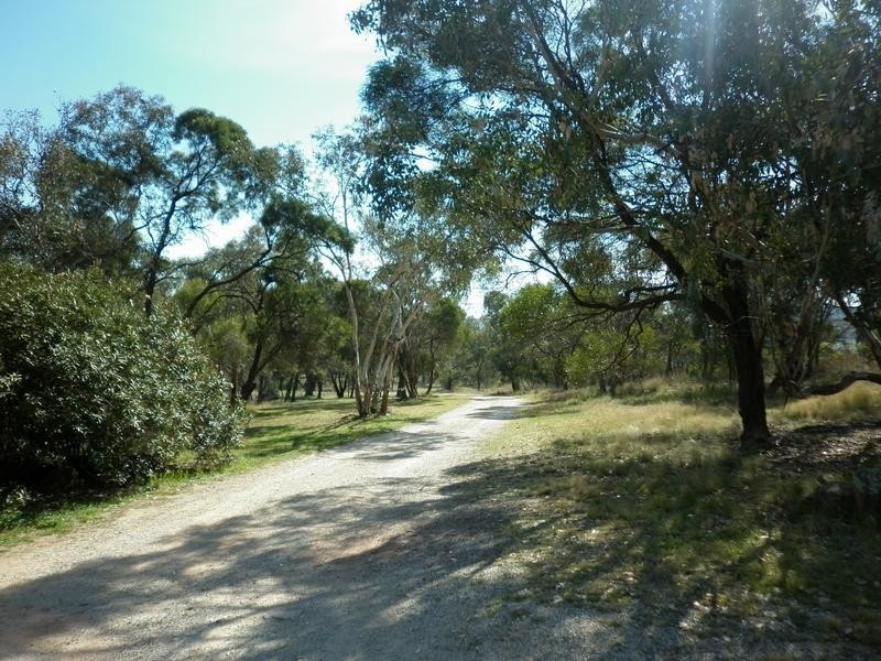 940 Packham Drive, Molong NSW 2866