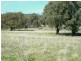 940 Packham Drive, Molong NSW 2866