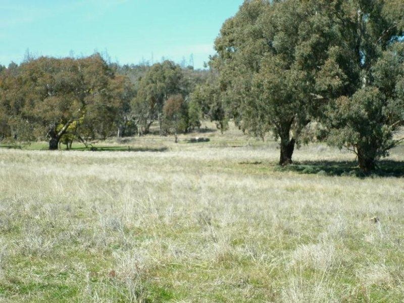 940 Packham Drive, Molong NSW 2866