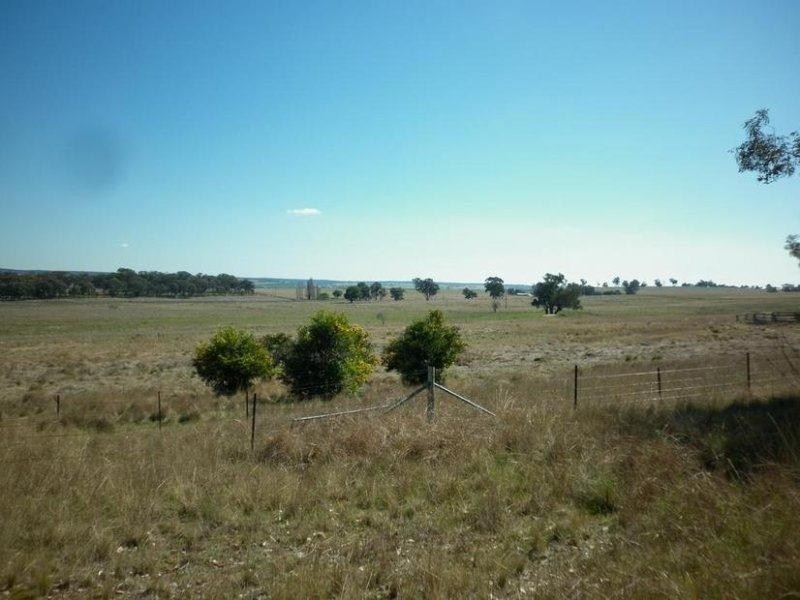 940 Packham Drive, Molong NSW 2866