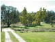 940 Packham Drive, Molong NSW 2866