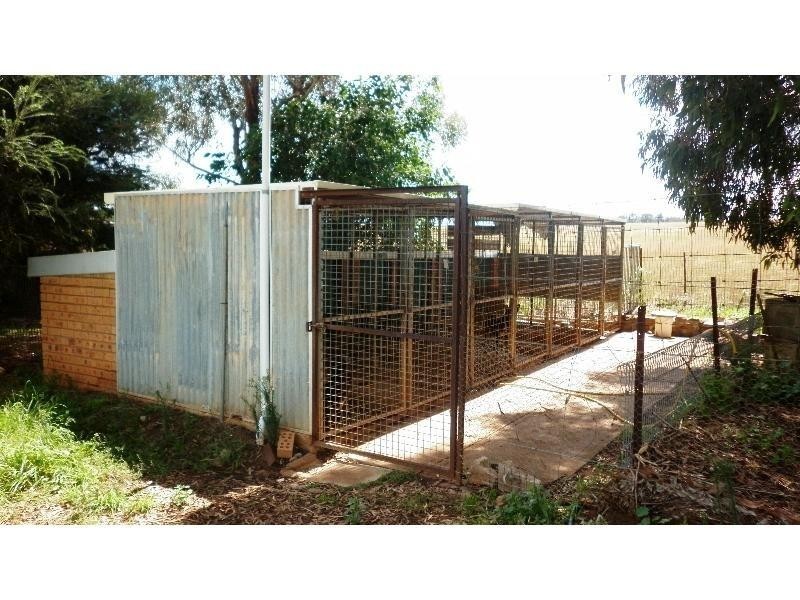 821 Scenic Drive, Molong NSW 2866