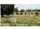 821 Scenic Drive, Molong NSW 2866
