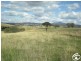 ‘Borenore’, Griffin Road, Orange NSW 2800