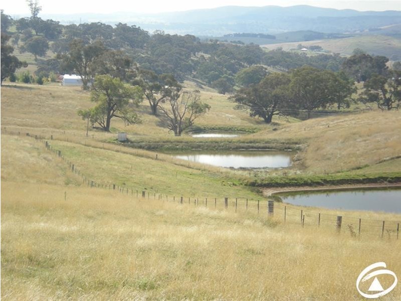 ‘Borenore’, Griffin Road, Orange NSW 2800
