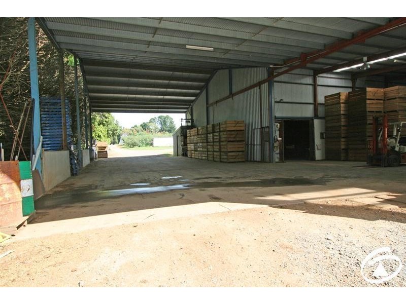 1032 Pinnacle Road, Orange NSW 2800