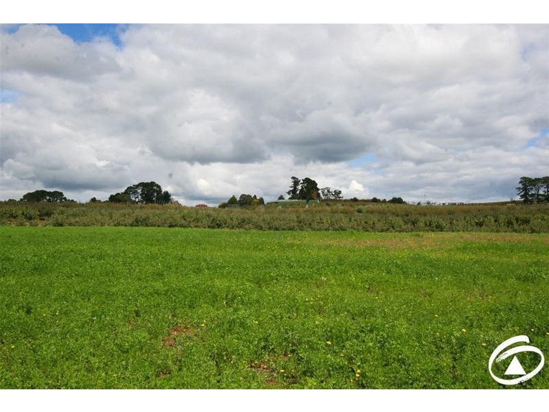 1032 Pinnacle Road, Orange NSW 2800