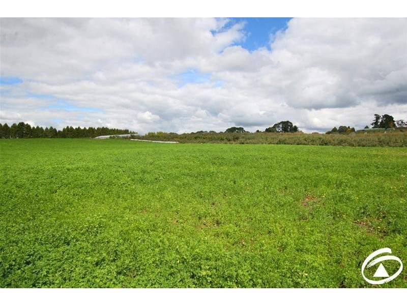 1032 Pinnacle Road, Orange NSW 2800