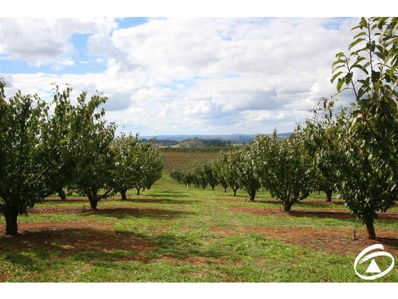 1032 Pinnacle Road, Orange NSW 2800