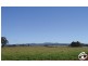 ‘Lachies’, Spring Terrace Road, Orange NSW 2800