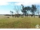 ‘Sunnyside’, Spring Terrace Road, Orange NSW 2800