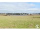 ‘Sunnyside’, Spring Terrace Road, Orange NSW 2800
