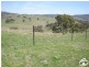 ‘Rockyln’, Ophir Road, Orange NSW 2800