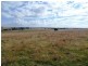 387 Strathmore Lane, Molong NSW 2866