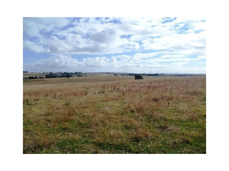 387 Strathmore Lane, Molong NSW 2866