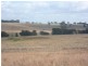 387 Strathmore Lane, Molong NSW 2866