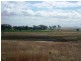 387 Strathmore Lane, Molong NSW 2866