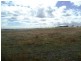 387 Strathmore Lane, Molong NSW 2866
