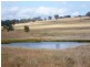 387 Strathmore Lane, Molong NSW 2866