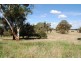 Spring Terrace Road, Orange NSW 2800