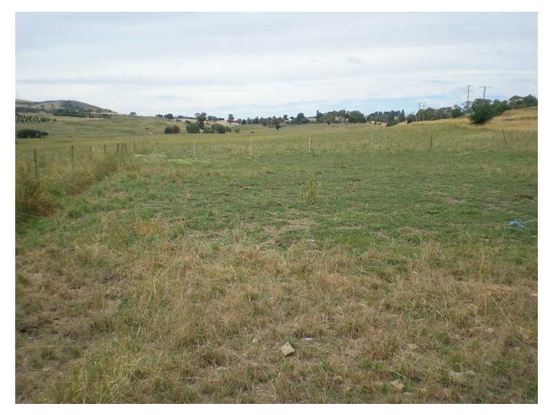 “Kalinga”, Mitchell Highway, Lucknow NSW 2800