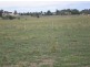 “Kalinga”, Mitchell Highway, Lucknow NSW 2800