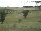 “Kalinga”, Mitchell Highway, Lucknow NSW 2800