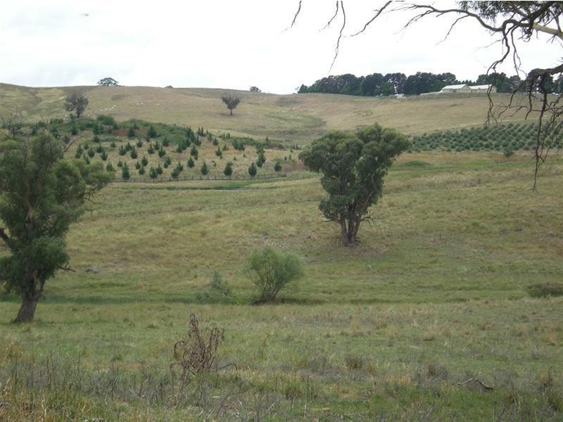 “Kalinga”, Mitchell Highway, Lucknow NSW 2800