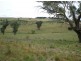 “Kalinga”, Mitchell Highway, Lucknow NSW 2800