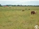 Lot 2,  Whiley Road, Millthorpe NSW 2798