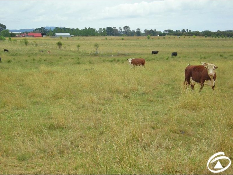 Lot 2,  Whiley Road, Millthorpe NSW 2798