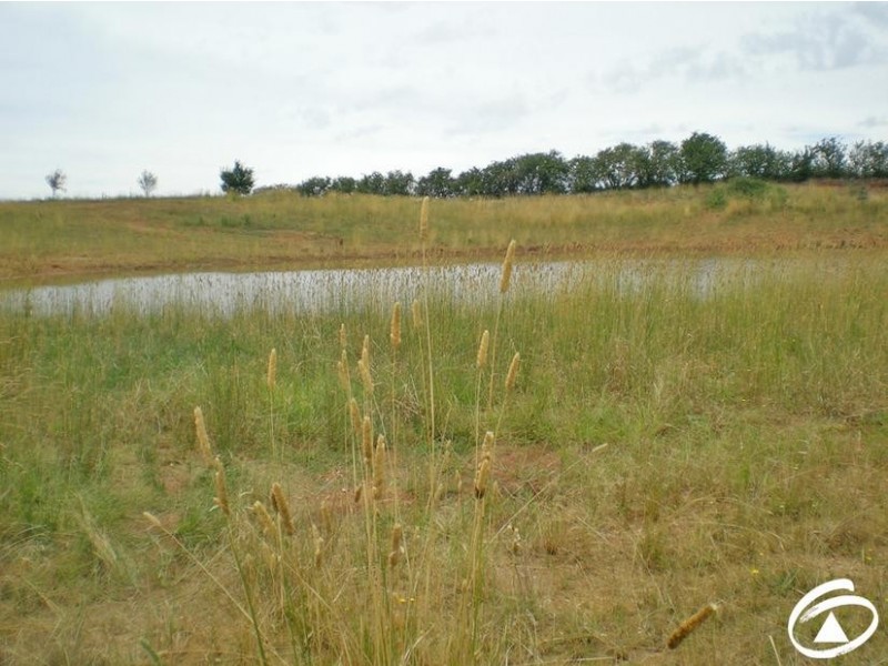 Lot 2,  Whiley Road, Millthorpe NSW 2798