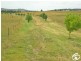 Lot 2,  Whiley Road, Millthorpe NSW 2798