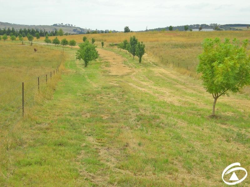 Lot 2,  Whiley Road, Millthorpe NSW 2798