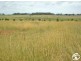 Lot 2,  Whiley Road, Millthorpe NSW 2798