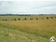 Lot 2,  Whiley Road, Millthorpe NSW 2798