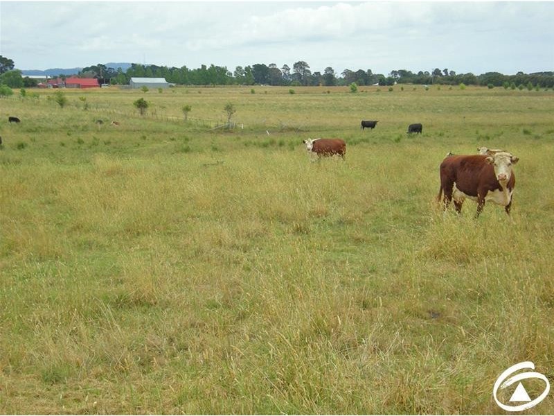 Lot/2 Part Cockatoo Flat, Whiley Road, Millthorpe NSW 2798