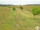Lot/2 Part Cockatoo Flat, Whiley Road, Millthorpe NSW 2798