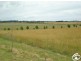 Lot/2 Part Cockatoo Flat, Whiley Road, Millthorpe NSW 2798