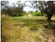 95 Packham Drive, Molong NSW 2866