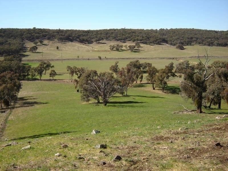 102 Sandy Creek Road, Molong NSW 2866