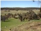 102 Sandy Creek Road, Molong NSW 2866