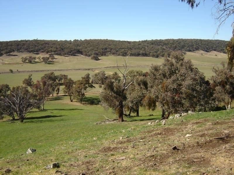 102 Sandy Creek Road, Molong NSW 2866